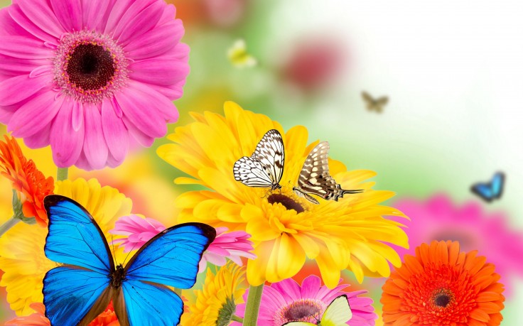 auto coverage wilmington nc